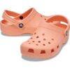 Classic Clog T - Papaya