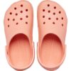 Classic Clog T - Papaya