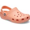 Classic Clog T - Papaya